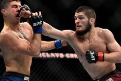 Best Khabib Highlights: Top Finishes & Grappling Ultimate Guide to MMA: Training, Techniques, and Top Fighters in The World Best Khabib Highlights: Top Finishes & Grappling | Ultimate Guide to MMA: Training, Techniques, and Top Fighters in The World