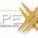 Apex Mma | Ultimate Guide to MMA: Training, Techniques, and Top Fighters in The World