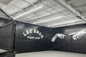 Lee Brothers Mma Ultimate Guide to MMA: Training, Techniques, and Top Fighters in The World Lee Brothers Mma | Ultimate Guide to MMA: Training, Techniques, and Top Fighters in The World