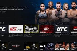 Watch PPV MMA Fights: Ultimate Guide Ultimate Guide to MMA: Training, Techniques, and Top Fighters in The World Watch PPV MMA Fights: Ultimate Guide | Ultimate Guide to MMA: Training, Techniques, and Top Fighters in The World