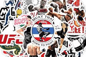 Best MMA Stickers & Decals for Fans Ultimate Guide to MMA: Training, Techniques, and Top Fighters in The World Best MMA Stickers & Decals for Fans | Ultimate Guide to MMA: Training, Techniques, and Top Fighters in The World