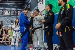 Total Mma | Ultimate Guide to MMA: Training, Techniques, and Top Fighters in The World