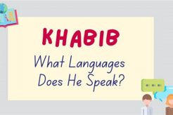 What Languages Does Khabib Speak Ultimate Guide to MMA: Training, Techniques, and Top Fighters in The World What Languages Does Khabib Speak | Ultimate Guide to MMA: Training, Techniques, and Top Fighters in The World