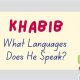 What Languages Does Khabib Speak | Ultimate Guide to MMA: Training, Techniques, and Top Fighters in The World