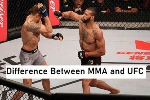 UFC vs. MMA: Key Differences Explained Ultimate Guide to MMA: Training, Techniques, and Top Fighters in The World UFC vs. MMA: Key Differences Explained | Ultimate Guide to MMA: Training, Techniques, and Top Fighters in The World