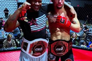 The Ultimate Stars and Strikes MMA Championship Ultimate Guide to MMA: Training, Techniques, and Top Fighters in The World The Ultimate Stars and Strikes MMA Championship | Ultimate Guide to MMA: Training, Techniques, and Top Fighters in The World