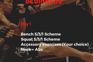 Top MMA Strength Exercises for Fighters | Ultimate Guide to MMA: Training, Techniques, and Top Fighters in The World