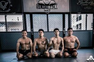 Unleash Your Inner Silverback MMA Fighter | Ultimate Guide to MMA: Training, Techniques, and Top Fighters in The World