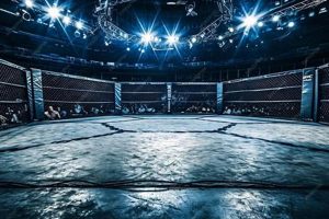 The Ultimate MMA Arena Guide | Ultimate Guide to MMA: Training, Techniques, and Top Fighters in The World