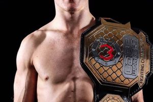 Irish Mma Fighters | Ultimate Guide to MMA: Training, Techniques, and Top Fighters in The World