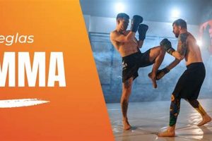 What Does MMA Mean? A Beginner's Guide | Ultimate Guide to MMA: Training, Techniques, and Top Fighters in The World