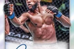 Fuel Your MMA Training: Kape for Fighters | Ultimate Guide to MMA: Training, Techniques, and Top Fighters in The World
