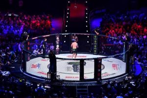 Discover: What Sport is MMA? Explained | Ultimate Guide to MMA: Training, Techniques, and Top Fighters in The World