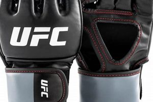 Best 7 oz MMA Gloves: Top Picks & Guide | Ultimate Guide to MMA: Training, Techniques, and Top Fighters in The World