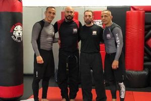 Tiger Schulmann MMA Prices: Full Cost Breakdown | Ultimate Guide to MMA: Training, Techniques, and Top Fighters in The World