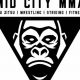 Mid City Mma | Ultimate Guide to MMA: Training, Techniques, and Top Fighters in The World