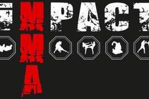 Maximize Your Impact MMA Training | Ultimate Guide to MMA: Training, Techniques, and Top Fighters in The World