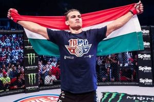 MMA Expert Luke Thomas: News & Analysis | Ultimate Guide to MMA: Training, Techniques, and Top Fighters in The World