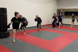 Top MMA Gyms & Events in Winston-Salem, NC | Ultimate Guide to MMA: Training, Techniques, and Top Fighters in The World