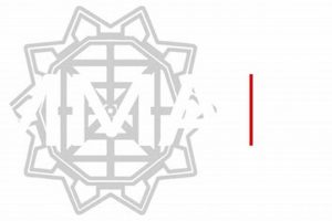 Top Massachusetts MMA Gyms & Events | Ultimate Guide to MMA: Training, Techniques, and Top Fighters in The World