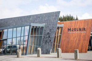 The Ultimate Mjolnir MMA Striking Guide | Ultimate Guide to MMA: Training, Techniques, and Top Fighters in The World