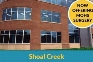 Best MMA Gyms & Training in Shoal Creek | Ultimate Guide to MMA: Training, Techniques, and Top Fighters in The World