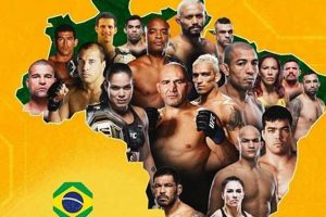 Top Brazilian MMA Fighters: A Legacy of Champions | Ultimate Guide to MMA: Training, Techniques, and Top Fighters in The World