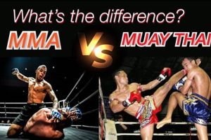 MMA vs. Muay Thai: Key Differences Explained | Ultimate Guide to MMA: Training, Techniques, and Top Fighters in The World