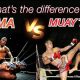 MMA vs. Muay Thai: Key Differences Explained | Ultimate Guide to MMA: Training, Techniques, and Top Fighters in The World