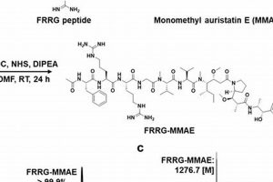 Mmae Ultimate Guide to MMA: Training, Techniques, and Top Fighters in The World Mmae | Ultimate Guide to MMA: Training, Techniques, and Top Fighters in The World