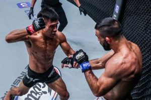 Dangerous MMA Elbow Strikes to the Neck: Rules & Risks | Ultimate Guide to MMA: Training, Techniques, and Top Fighters in The World