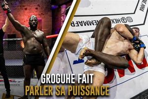 Ultimate Groguhe MMA Training Guide | Ultimate Guide to MMA: Training, Techniques, and Top Fighters in The World