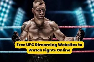 Watch Mma Ufc Fights Online Free | Ultimate Guide to MMA: Training, Techniques, and Top Fighters in The World
