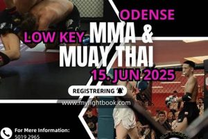 Low Mma Ultimate Guide to MMA: Training, Techniques, and Top Fighters in The World Low Mma | Ultimate Guide to MMA: Training, Techniques, and Top Fighters in The World