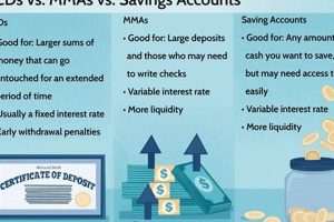 What is an MMA Savings Account? A Guide | Ultimate Guide to MMA: Training, Techniques, and Top Fighters in The World