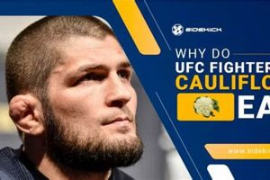MMA Fighters & Cauliflower Ear: Why? | Ultimate Guide to MMA: Training, Techniques, and Top Fighters in The World