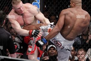 Epic MMA: Lesnar vs Overeem Showdown | Ultimate Guide to MMA: Training, Techniques, and Top Fighters in The World