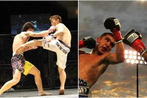 Is Boxing Still More Popular Than MMA Today? | Ultimate Guide to MMA: Training, Techniques, and Top Fighters in The World