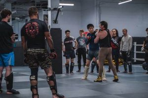 Top MMA Gyms & Training in Nashville, TN | Ultimate Guide to MMA: Training, Techniques, and Top Fighters in The World