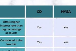 MMA vs. High-Yield Savings: Which is Best? | Ultimate Guide to MMA: Training, Techniques, and Top Fighters in The World