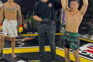 Discover Cies MMA: Ultimate Guide & Tips | Ultimate Guide to MMA: Training, Techniques, and Top Fighters in The World