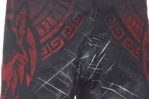 Top Warrior MMA Clothing & Gear | Ultimate Guide to MMA: Training, Techniques, and Top Fighters in The World