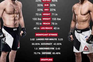 Khabib Vs Tony Ferguson | Ultimate Guide to MMA: Training, Techniques, and Top Fighters in The World