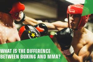 Boxing vs. MMA: Key Differences Explained | Ultimate Guide to MMA: Training, Techniques, and Top Fighters in The World