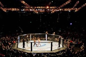 The Real History: When Did MMA Begin? | Ultimate Guide to MMA: Training, Techniques, and Top Fighters in The World