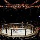 The Real History: When Did MMA Begin? | Ultimate Guide to MMA: Training, Techniques, and Top Fighters in The World