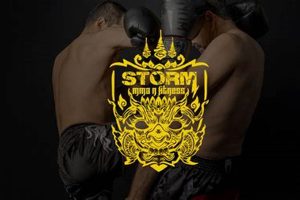 The Ultimate MMA Storm Guide: Tips & Insights | Ultimate Guide to MMA: Training, Techniques, and Top Fighters in The World