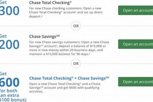 Best Chase MMA Interest Rates Today | Ultimate Guide to MMA: Training, Techniques, and Top Fighters in The World