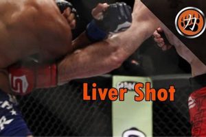 The Devastating Liver Shot in MMA Fighting | Ultimate Guide to MMA: Training, Techniques, and Top Fighters in The World