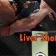 The Devastating Liver Shot in MMA Fighting | Ultimate Guide to MMA: Training, Techniques, and Top Fighters in The World